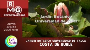 «JARDÌN BOTÀNICO UNIVERSIDAD DE TALCA – COSTA DE ÑUBLE»