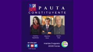 PAUTA CONSTITUYENTE