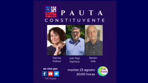 PAUTA CONSTITUYENTE